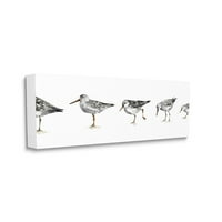 Sumpell Industries Sandpiper Bird ставови минимално сиво бело сликарско платно платно дизајн на wallидна уметност од ревизија